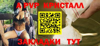 спиды Ярославль